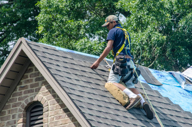 Best Gutter Installation and Roofing  in Barnesville, GA